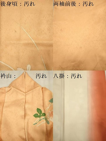 平和屋着物■訪問着　駒刺繍　花車文　暈し染め　金彩　小田急百貨店扱い　正絹　逸品　DABF0923ya
