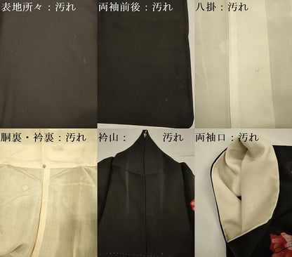 平和屋着物■訪問着　草花文　黒地　正絹　逸品　DABF0955ya