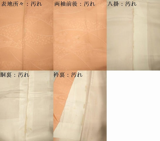 平和屋着物■上質な小紋　草花地紋　暈し染め　正絹　逸品　DABF0972ya