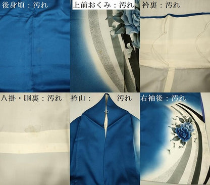 平和屋着物■訪問着 薔薇 バラ 暈し染め 正絹 逸品 DABF0980ya