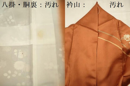 平和屋着物■訪問着　駒刺繍　舞蝶花文　金彩　正絹　逸品　DABF0992ya