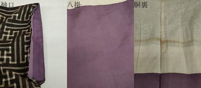 平和屋着物●本場大島紬　龍郷絣　秋名バラ　正絹　逸品　DABF1254ud