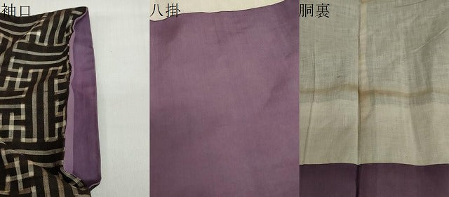平和屋着物●本場大島紬　龍郷絣　秋名バラ　正絹　逸品　DABF1254ud