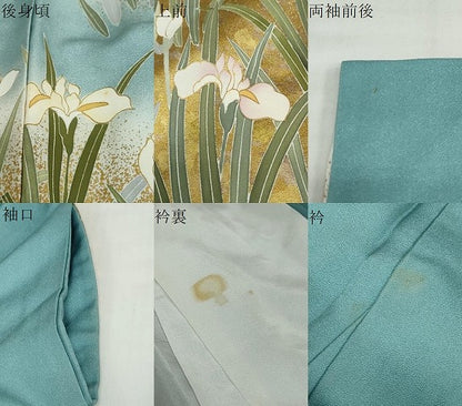 平和屋着物●訪問着　作家物　草花文　暈し染め　金彩　ロング丈　正絹　逸品　DABF1257ud