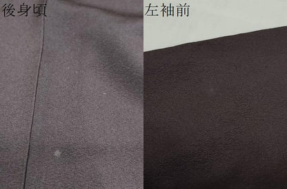 平和屋着物●友禅師・京の名工・伝統工芸士・樽本伊勢蔵　訪問着　女人文　詩歌　暈し染め　金銀彩　正絹　逸品　未使用　DABF1350ud