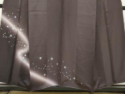 平和屋着物●訪問着 星座 暈し染め 銀彩 正絹 逸品 DABF1362ud