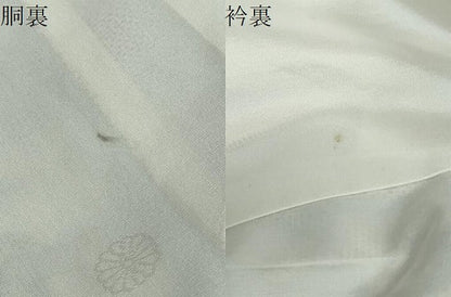 平和屋着物●本場大島紬　白大島　9マルキ　総絣　笹竹文　正絹　逸品　DABF1436ud