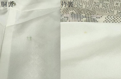 平和屋着物●本場大島紬　白大島　9マルキ　雲取り草花文　正絹　逸品　DABF1476ud