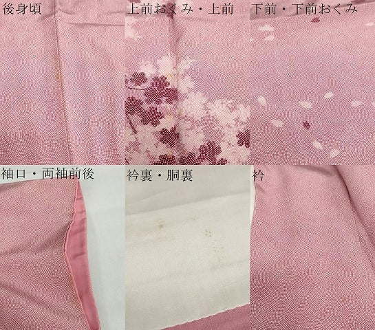 平和屋着物●人間国宝 小宮康孝　江戸小紋　訪問着　鮫小紋柄　枝桜文　三越扱い　正絹　逸品　DABF1614ud