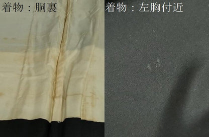 平和屋着物●男性　黒紋付　羽織セット　羽裏：花鳥絵皿文　正絹　逸品　DABF1714ud