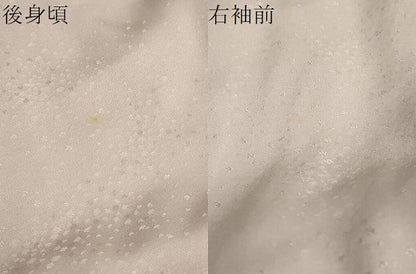 平和屋着物●訪問着　刺繍　枝花文　暈し染め　金彩　正絹　逸品　DABF1731ud