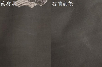 平和屋着物●本場大島紬　地空き　9マルキ　地紙重ね文　正絹　逸品　DABF1759ud