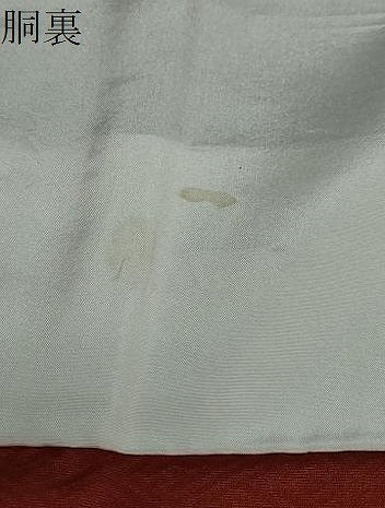 平和屋着物●上質な小紋　南天文　金彩　正絹　逸品　DABF1805ud