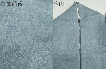 平和屋着物●江戸小紋　作家物　鮫小紋柄　鬼しぼ縮緬　正絹　逸品　DABF1832ud