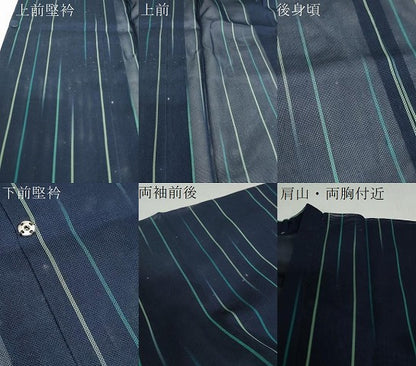 平和屋着物▽道行コート　スリーシーズン　春夏秋　塵除け　二重紗　縞　正絹　逸品　DABF1870ud