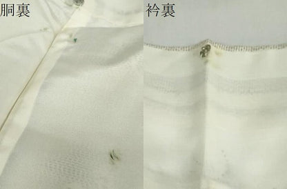 平和屋着物●本場大島紬　白大島　枝花文　正絹　逸品　未使用　DABF1917ud