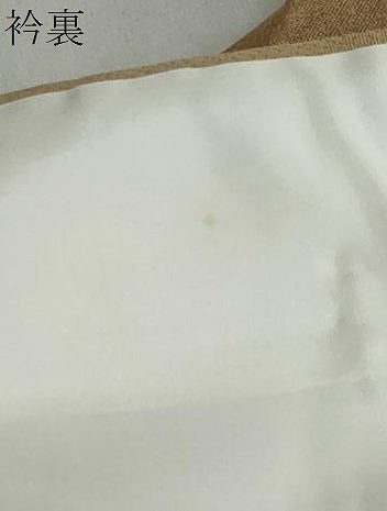 平和屋着物●訪問着　草花文　金彩　小田急百貨店扱い　正絹　逸品　未使用　DABF1937ud