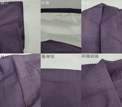 平和屋着物▽上質な紬　単衣　眼鏡織　正絹　逸品　DABF1984ud