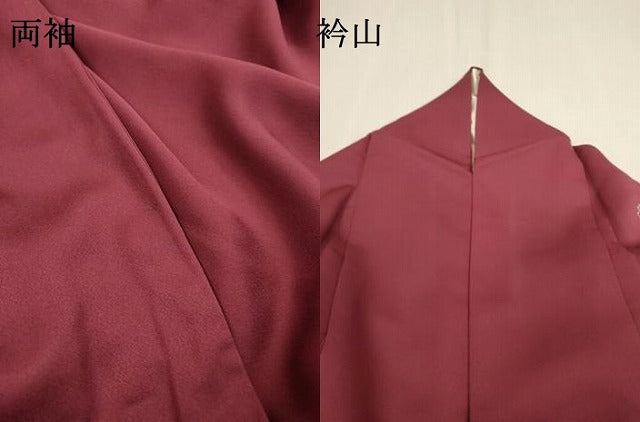 平和屋着物▼訪問着 熨斗花文 金銀彩 正絹 逸品 DABF2131fe