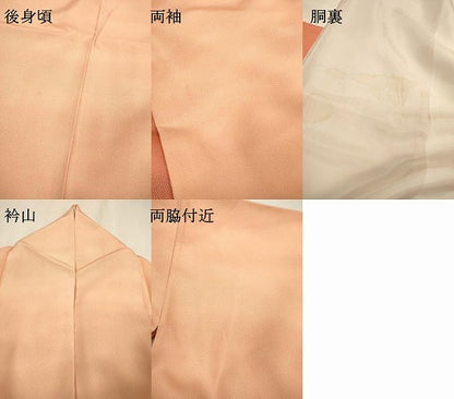 平和屋着物▼江戸小紋 訪問着 作家物 鮫小紋柄 霞文 暈し染 正絹 逸品 DABF2368fe