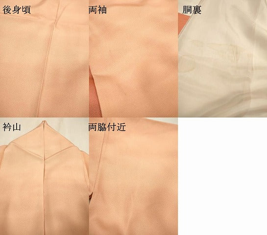 平和屋着物▼江戸小紋 訪問着 作家物 鮫小紋柄 霞文 暈し染 正絹 逸品 DABF2368fe