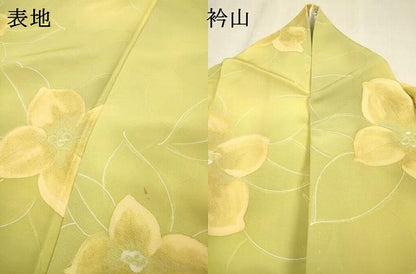平和屋着物▼上質な小紋　地紋起こし　草花　暈し染　正絹　逸品　DABF2405fe