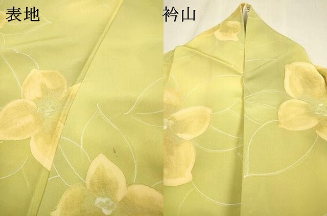 平和屋着物▼上質な小紋　地紋起こし　草花　暈し染　正絹　逸品　DABF2405fe