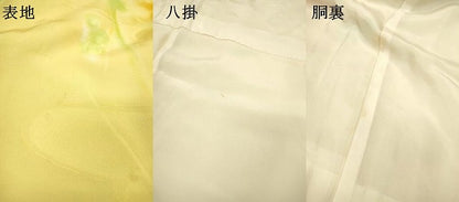 平和屋着物▼上質な小紋　地紋起こし　舞花　暈し染　正絹　逸品　DABF2406fe
