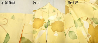 平和屋着物▼上質な小紋 地紋起こし 花唐草文 暈し染 正絹 逸品 DABF2515fe
