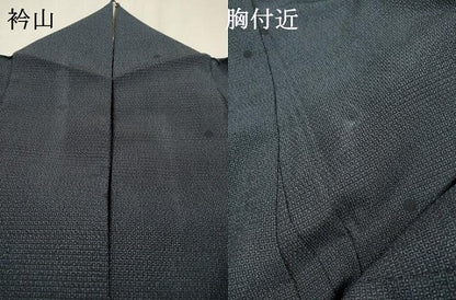 平和屋着物▽本塩沢　訪問着　単衣　110亀甲　丸文　正絹　逸品　DABF2542fe