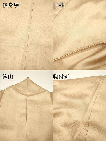 平和屋着物▼訪問着　総刺繍　枝花松葉芝文　暈し染め　金糸　正絹　逸品　DABF2968fe