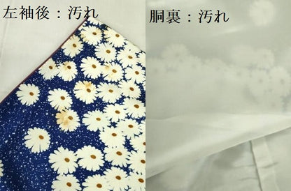 平和屋着物■上質な小紋 菊 正絹 逸品 DABF3003op