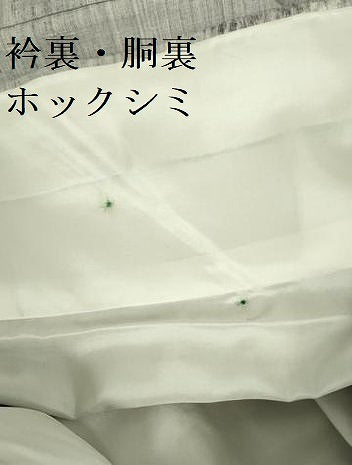 平和屋着物■上質な紬 草葉文 正絹 逸品 DABF3016op