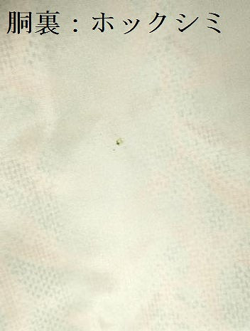 平和屋着物■上質な紬 草葉文 正絹 逸品 未使用 DABF3017op