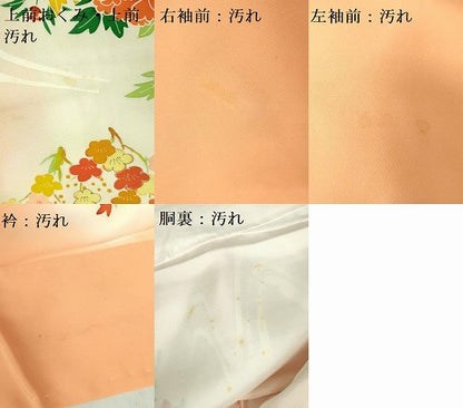 平和屋着物■訪問着 流水草花文 暈し染め 金彩 正絹 逸品 DABF3051op