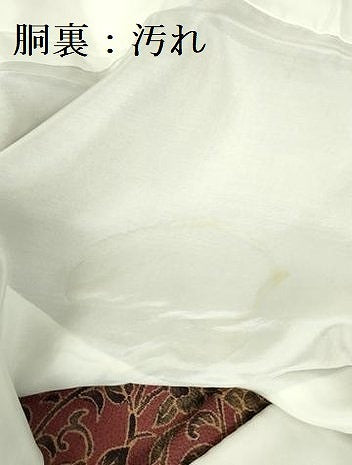 平和屋着物■上質な小紋 型染 更紗花鳥文 鬼しぼ縮緬 正絹 逸品 DABF3073op