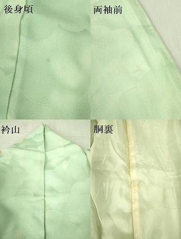 平和屋着物▼訪問着 手描き 草花 暈し染め 金彩 正絹 逸品 DABF3215op