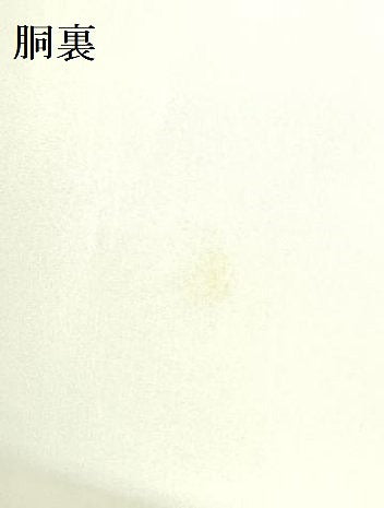 平和屋着物▼訪問着 草花 金彩 金通し地 正絹 逸品 DABF3236op
