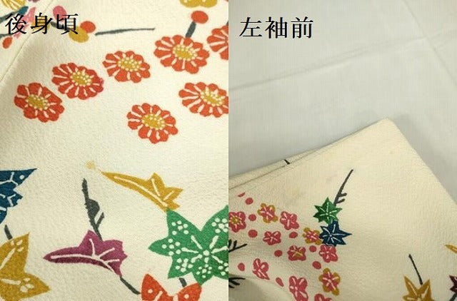 平和屋着物▽訪問着　単衣　型染　菊　枝梅　正絹　逸品　DABF3287op