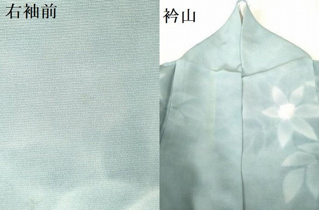 平和屋着物▽訪問着　単衣　草花　暈し染め　金彩　正絹　逸品　DABF3341op