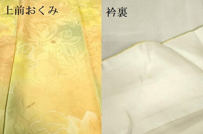 平和屋着物▼上質な小紋　地紋起こし　草花　暈し染め　正絹　逸品　DABF3446op