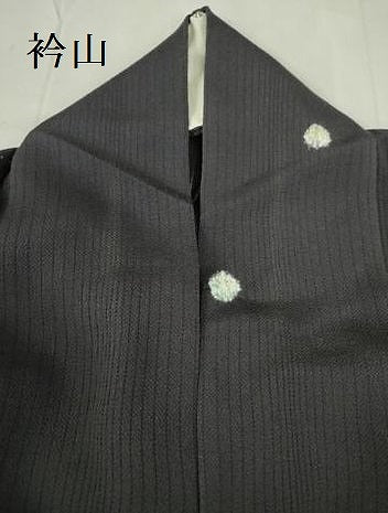 平和屋着物＊夏物　小紋　縦絽　絽縮緬　草花丸文　正絹　逸品　DABF3469op