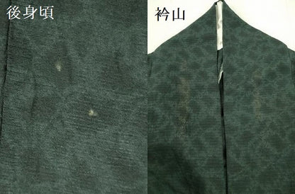 平和屋着物＊夏物　訪問着　絽縮緬　草花　正絹　逸品　DABF3470op
