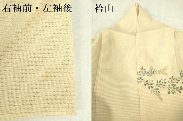 平和屋着物＊夏物　訪問着　絽　草花松文　暈し染め　金彩　正絹　逸品　DABF3486op