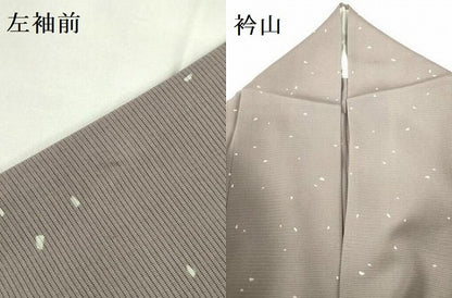 平和屋着物＊夏物　小紋　絽　箔散らし　さが美扱い　正絹　逸品　DABF3495op