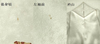 平和屋着物▽訪問着　単衣　草花文　金彩　正絹　逸品　DABF3607op