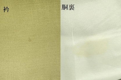 平和屋着物▼訪問着　螺鈿　舞蝶花文　暈し染め　金銀彩　正絹　逸品　DABF3766op