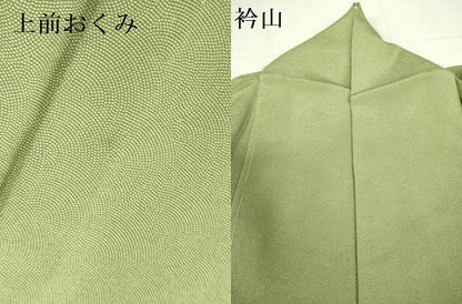 平和屋着物▽江戸小紋　単衣　鮫小紋柄　正絹　逸品　DABF3790op