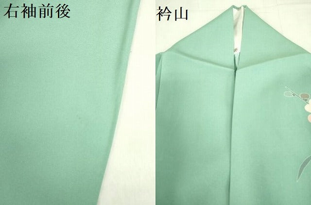 平和屋着物▽訪問着　単衣　枝梅　草花　暈し染め　金彩　正絹　逸品　DABF3797op