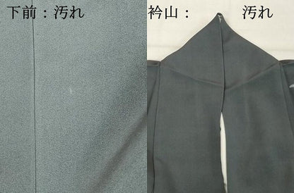 平和屋着物■訪問着　ろうけつ染め　乱菊　正絹　逸品　DABF4034cd